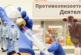 О порядке проведения противоэпизоотических мероприятий